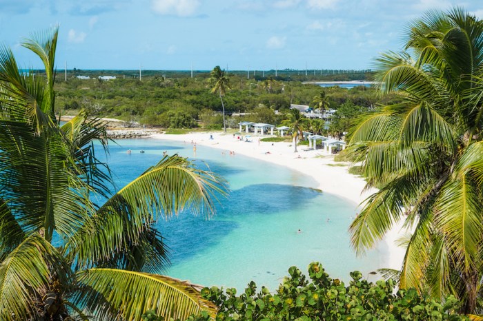 Bahia honda state park